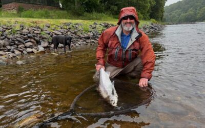 CATCHES IMPROVE ON THE TAY AS WE MOVE TOWARDS JULY!