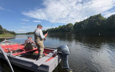 FIRST SALMON AND A TWENTY EIGHT POUNDER!